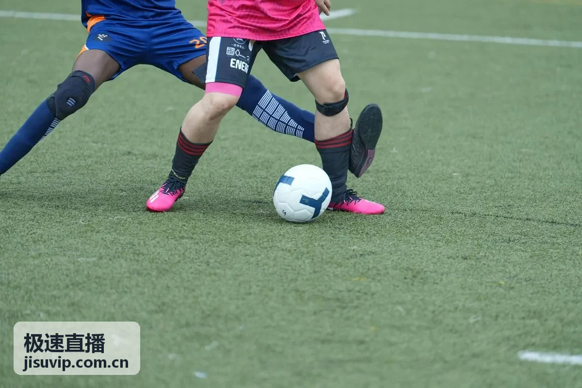极速直播CBA总决赛回顾
